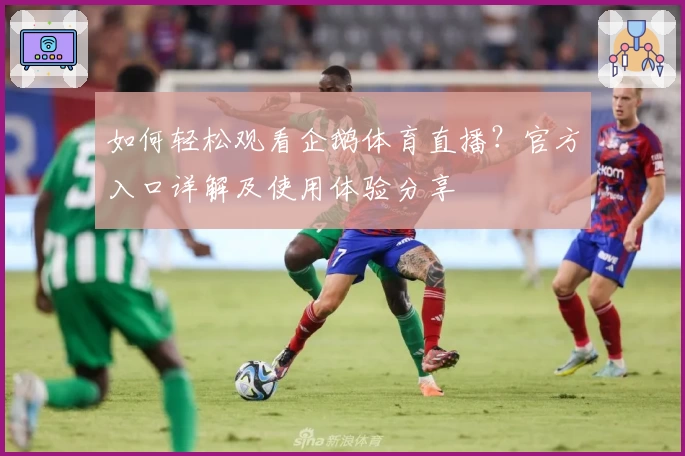 如何轻松观看企鹅体育直播？官方入口详解及使用体验分享