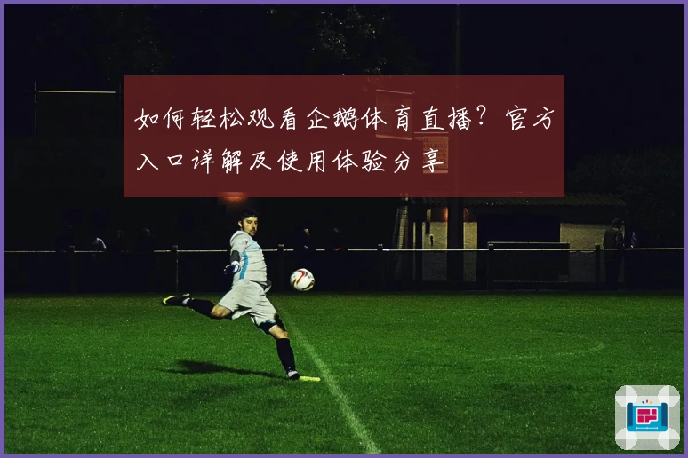 如何轻松观看企鹅体育直播？官方入口详解及使用体验分享