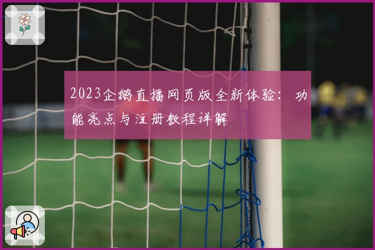 2023企鹅直播网页版全新体验：功能亮点与注册教程详解