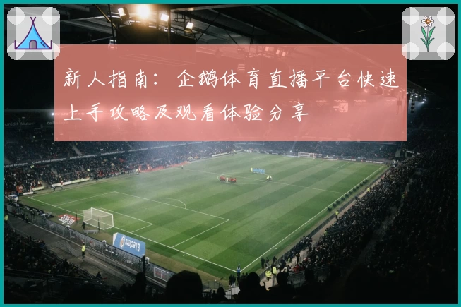 新人指南：企鹅体育直播平台快速上手攻略及观看体验分享