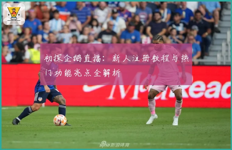 初探企鹅直播：新人注册教程与热门功能亮点全解析