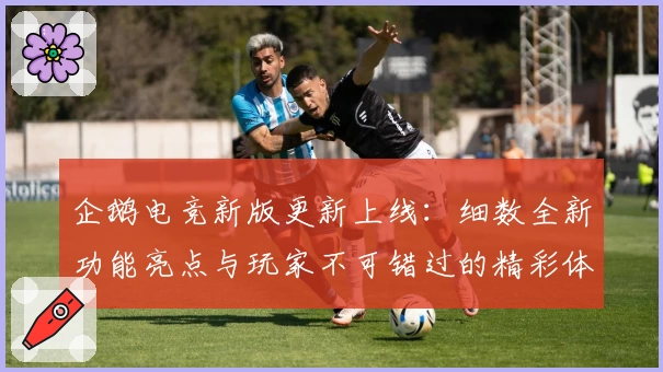 企鹅电竞新版更新上线：细数全新功能亮点与玩家不可错过的精彩体验