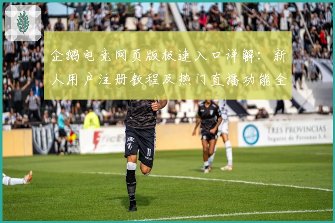 企鹅电竞网页版极速入口详解：新人用户注册教程及热门直播功能全解析