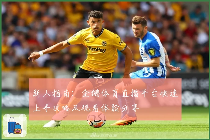 新人指南：企鹅体育直播平台快速上手攻略及观看体验分享
